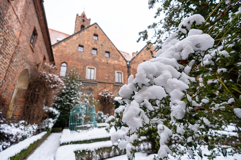 Wirydarz w Muzeum Architektury we Wrocławiu